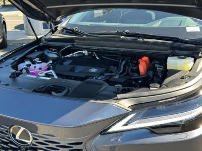 2026 Lexus RX Luxury