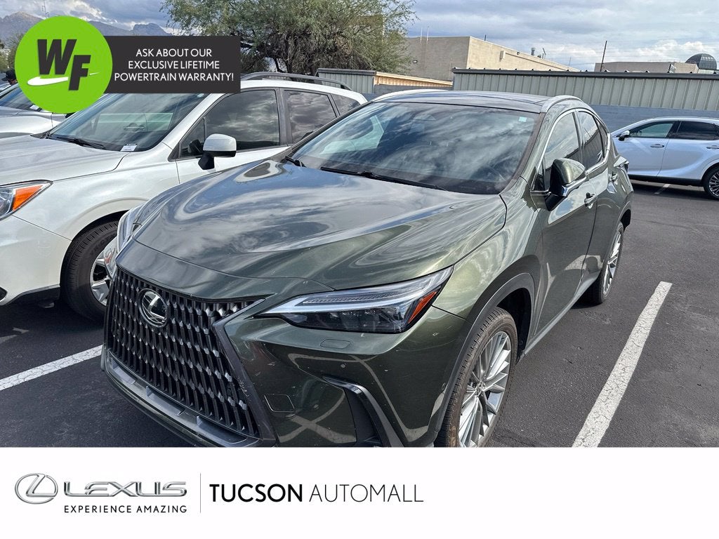 2024 Lexus NX 350h Luxury