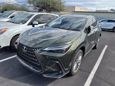 2024 Lexus NX 350h Luxury
