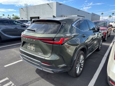 2024 Lexus NX 350h Luxury