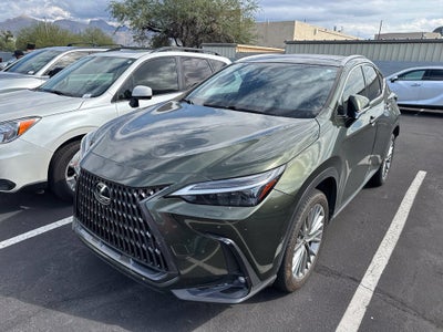 2024 Lexus NX 350h Luxury