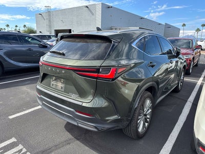 2024 Lexus NX 350h Luxury