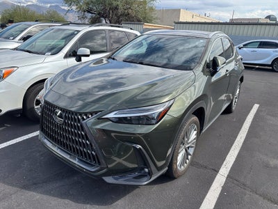 2024 Lexus NX 350h Luxury