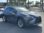 2026 Lexus NX 350h NX 350h Luxury