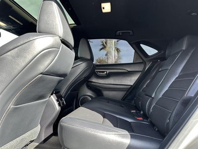 2020 Lexus NX F SPORT