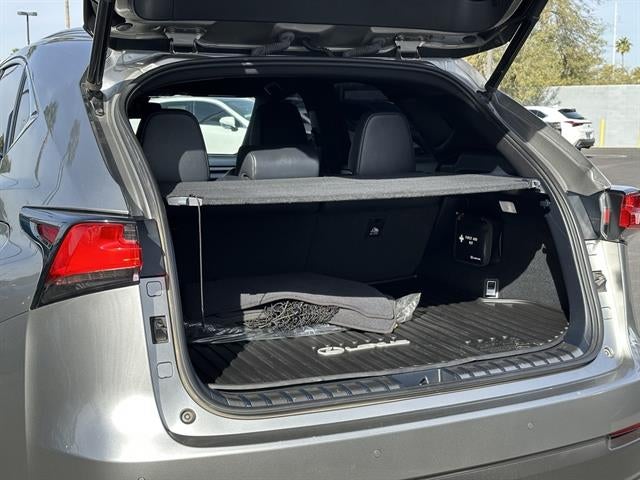 2020 Lexus NX F SPORT