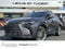 2024 Lexus NX Luxury