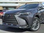 2024 Lexus NX Luxury