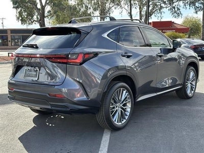 2024 Lexus NX Luxury