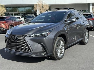 2024 Lexus NX Luxury