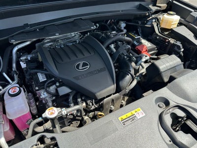 2024 Lexus TX 350 Premium