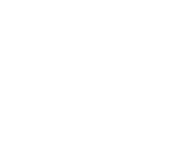 LexusCare logo