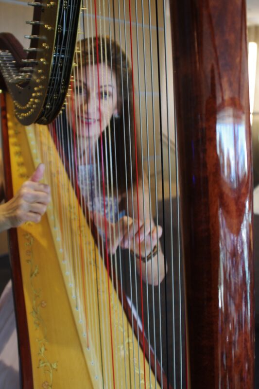Lexus of Tucson Speedway in Tucson AZ