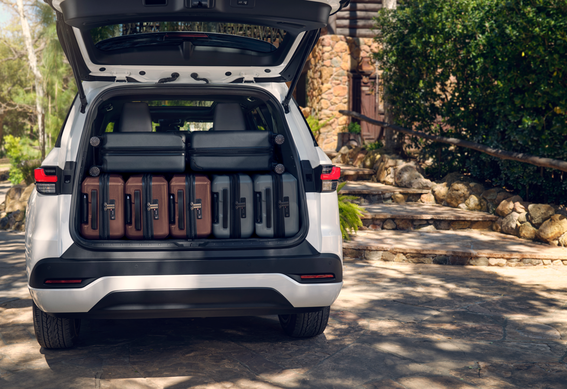 TX with luggage